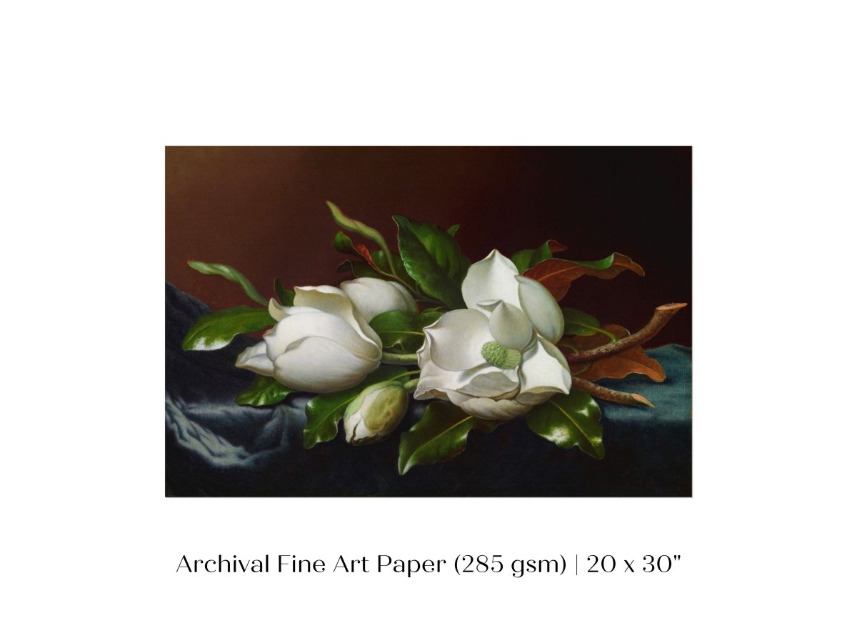 White Magnolias on Blue Velvet Cloth | P349 - Single Art Prints - Piccolo Fiore Prints
