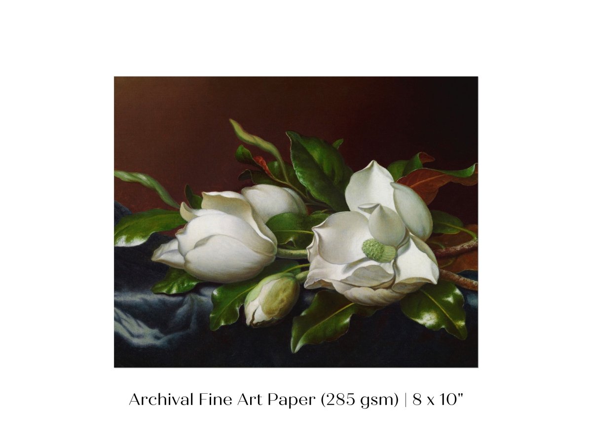 White Magnolias on Blue Velvet Cloth | P349 - Single Art Prints - Piccolo Fiore Prints