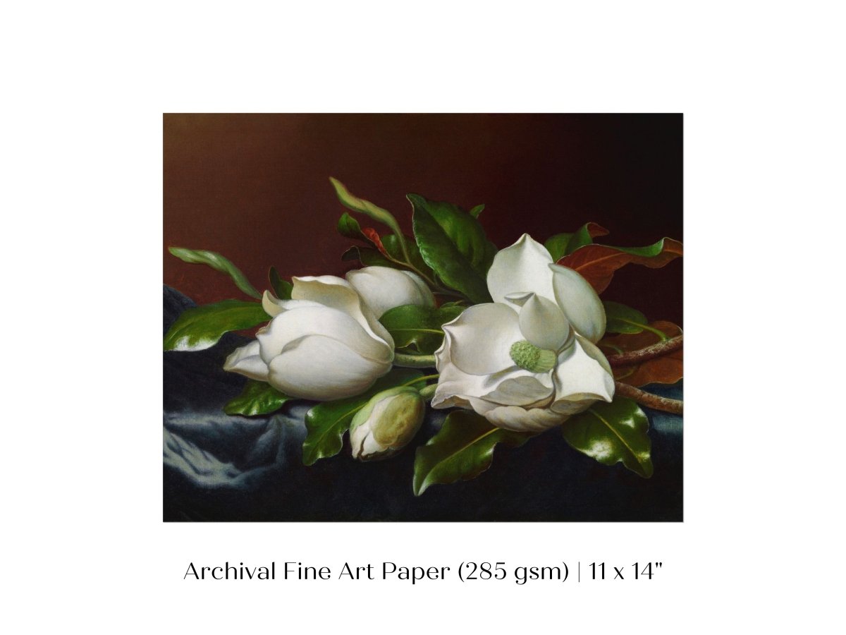 White Magnolias on Blue Velvet Cloth | P349 - Single Art Prints - Piccolo Fiore Prints