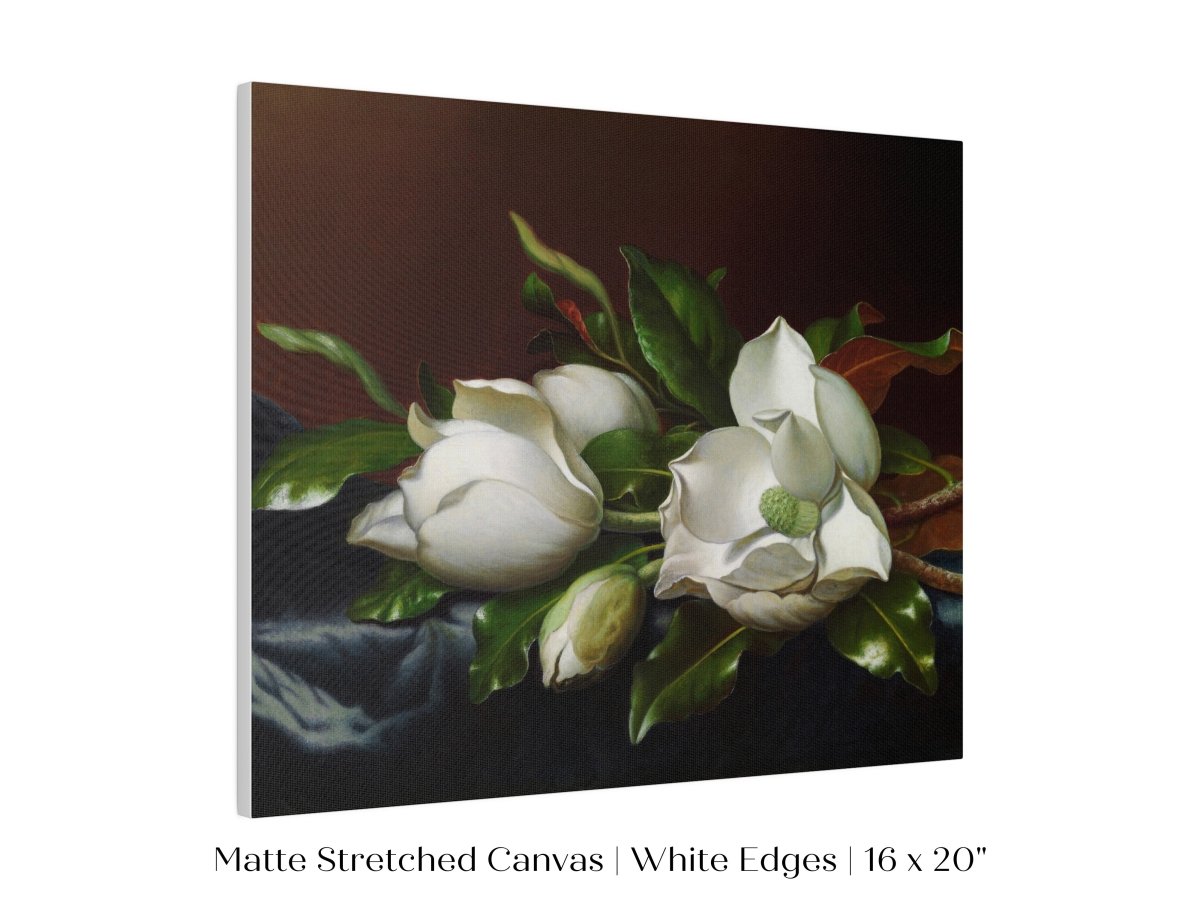 White Magnolias on Blue Velvet Cloth | P349 - Single Art Prints - Piccolo Fiore Prints