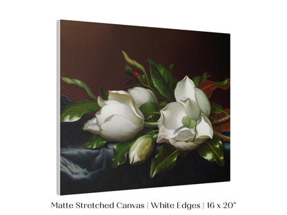 White Magnolias on Blue Velvet Cloth | P349 - Single Art Prints - Piccolo Fiore Prints