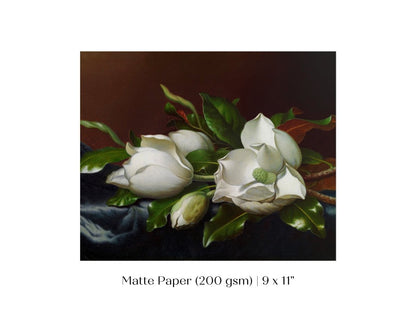 White Magnolias on Blue Velvet Cloth | P349 - Single Art Prints - Piccolo Fiore Prints