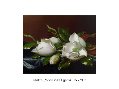 White Magnolias on Blue Velvet Cloth | P349 - Single Art Prints - Piccolo Fiore Prints