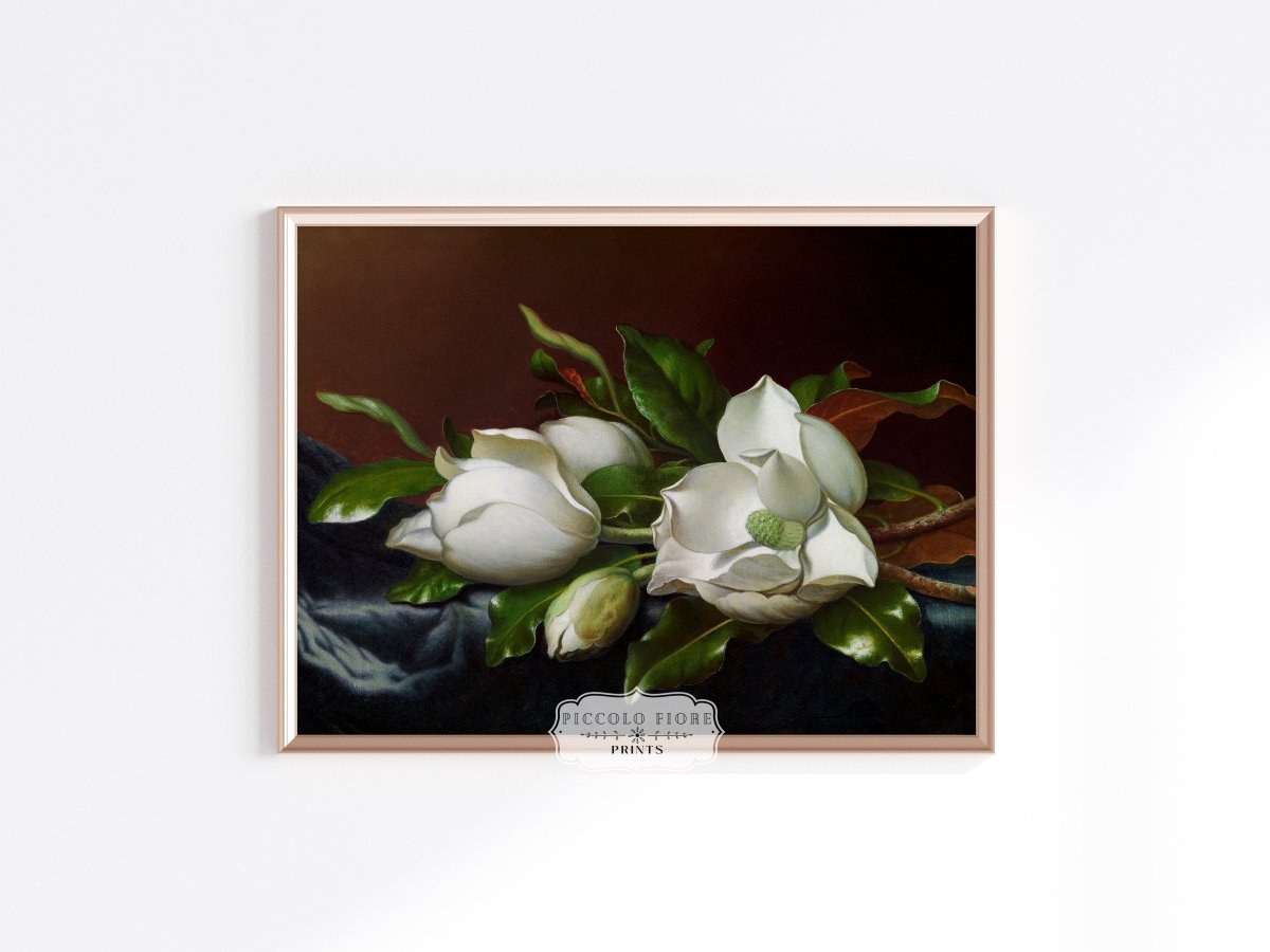 White Magnolias on Blue Velvet Cloth | P349 - Single Art Prints - Piccolo Fiore Prints