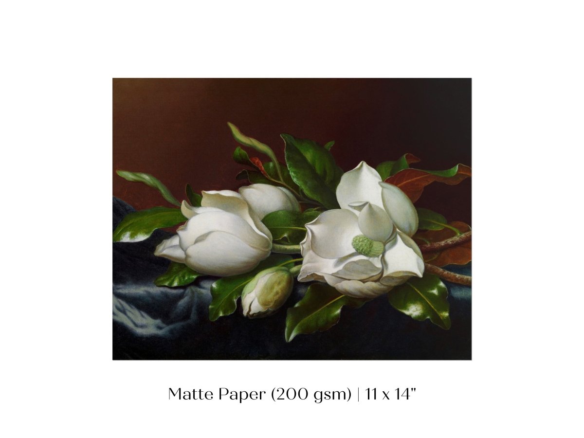 White Magnolias on Blue Velvet Cloth | P349 - Single Art Prints - Piccolo Fiore Prints
