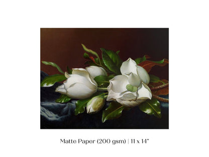 White Magnolias on Blue Velvet Cloth | P349 - Single Art Prints - Piccolo Fiore Prints