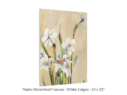 White Narcissus | P77 - Single Art Prints - Piccolo Fiore Prints