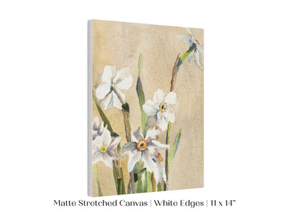 White Narcissus | P77 - Single Art Prints - Piccolo Fiore Prints