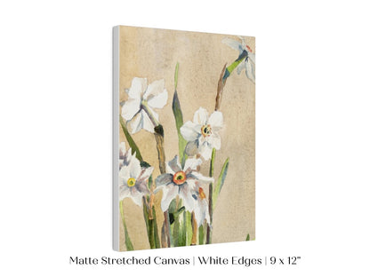 White Narcissus | P77 - Single Art Prints - Piccolo Fiore Prints