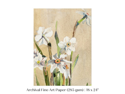 White Narcissus | P77 - Single Art Prints - Piccolo Fiore Prints