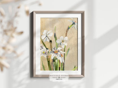 White Narcissus | P77 - Single Art Prints - Piccolo Fiore Prints