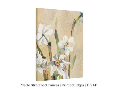 White Narcissus | P77 - Single Art Prints - Piccolo Fiore Prints