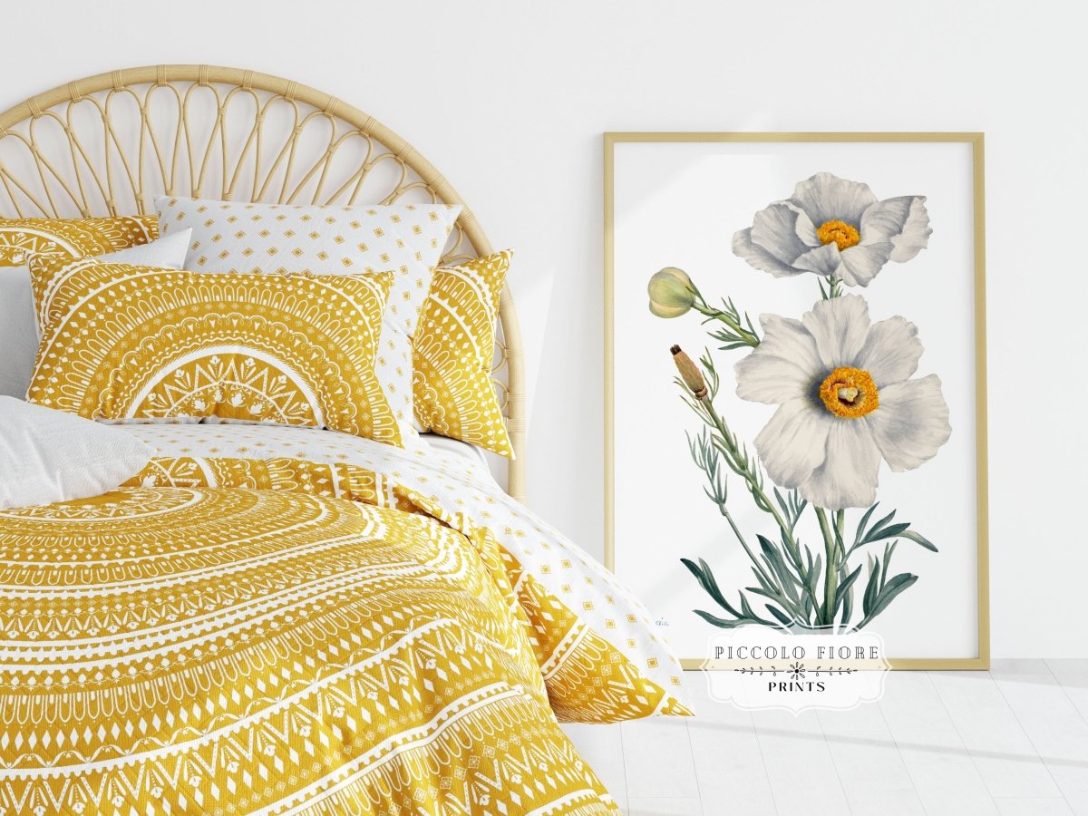 White Poppy Illustration | P79 - Single Art Prints - Piccolo Fiore Prints