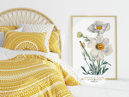White Poppy Illustration | P79 - Single Art Prints - Piccolo Fiore Prints