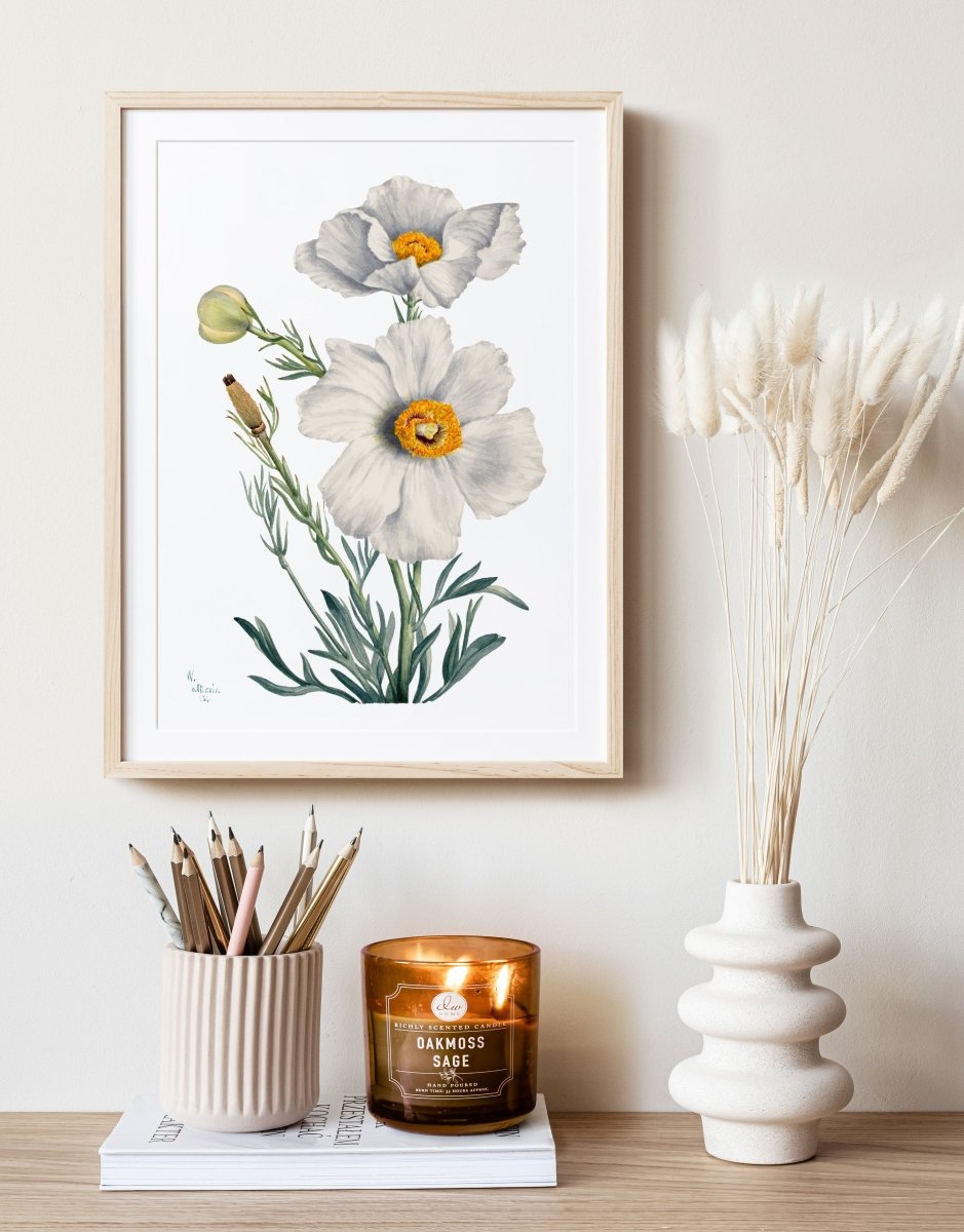 White Poppy Illustration | P79 - Single Art Prints - Piccolo Fiore Prints
