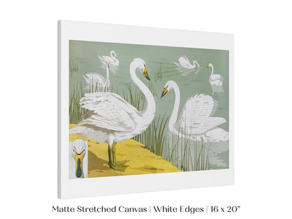 White Swans | P351 - Single Art Prints - Piccolo Fiore Prints