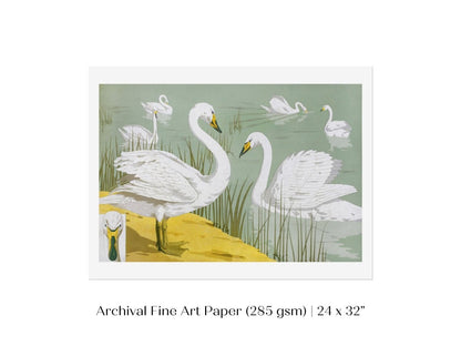 White Swans | P351 - Single Art Prints - Piccolo Fiore Prints