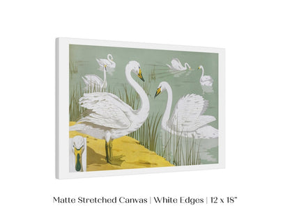 White Swans | P351 - Single Art Prints - Piccolo Fiore Prints