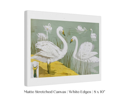 White Swans | P351 - Single Art Prints - Piccolo Fiore Prints