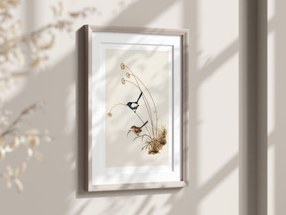 White - Winged Wren Illustration | P316 - Single Art Prints - Piccolo Fiore Prints