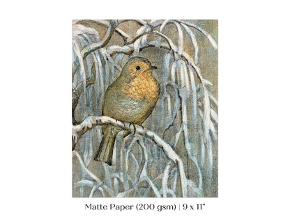 Winter Robin | P381 - Single Art Prints - Piccolo Fiore Prints