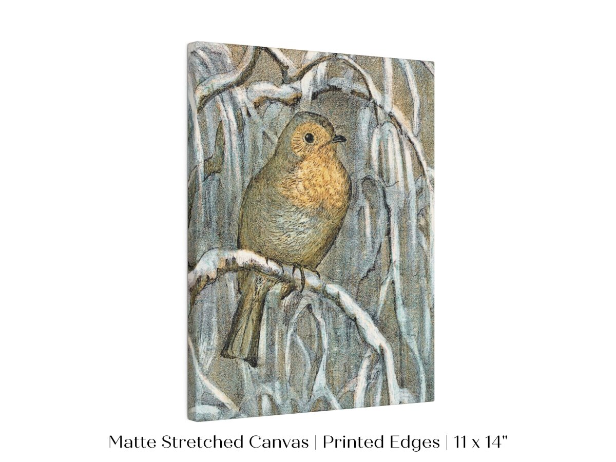 Winter Robin | P381 - Single Art Prints - Piccolo Fiore Prints