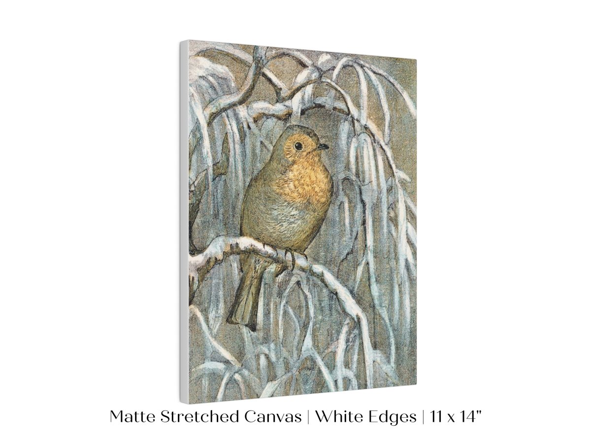 Winter Robin | P381 - Single Art Prints - Piccolo Fiore Prints