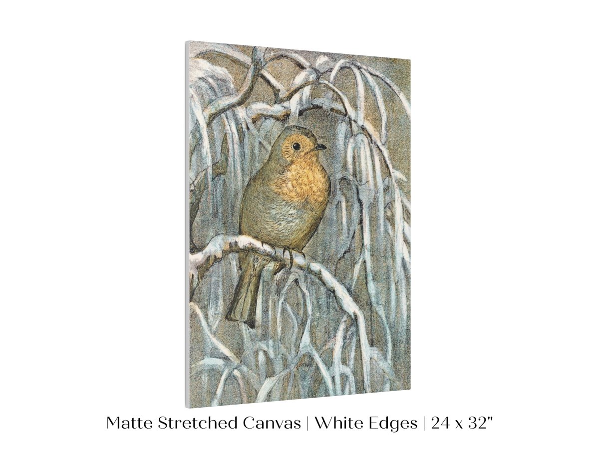 Winter Robin | P381 - Single Art Prints - Piccolo Fiore Prints