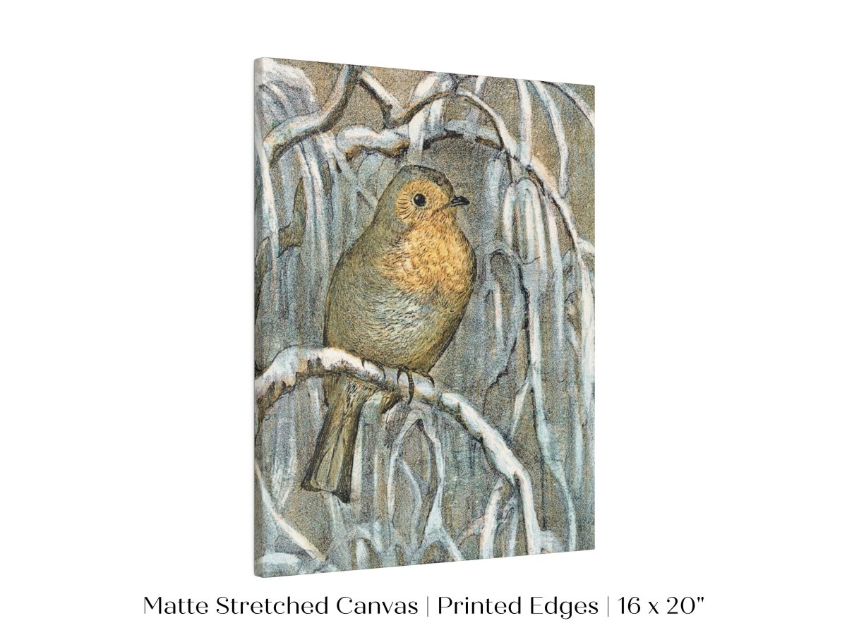 Winter Robin | P381 - Single Art Prints - Piccolo Fiore Prints