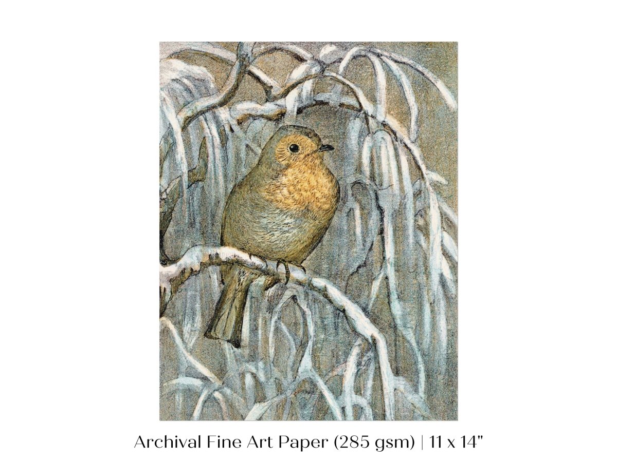 Winter Robin | P381 - Single Art Prints - Piccolo Fiore Prints