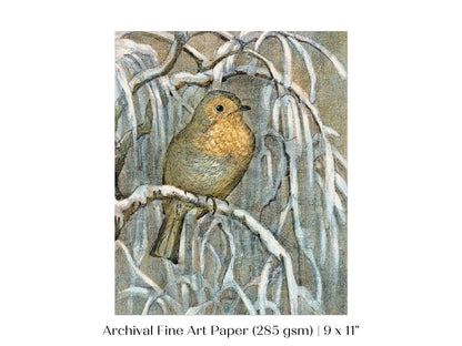 Winter Robin | P381 - Single Art Prints - Piccolo Fiore Prints