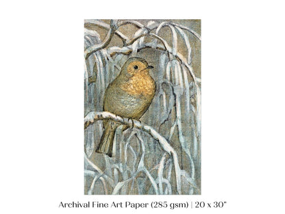 Winter Robin | P381 - Single Art Prints - Piccolo Fiore Prints