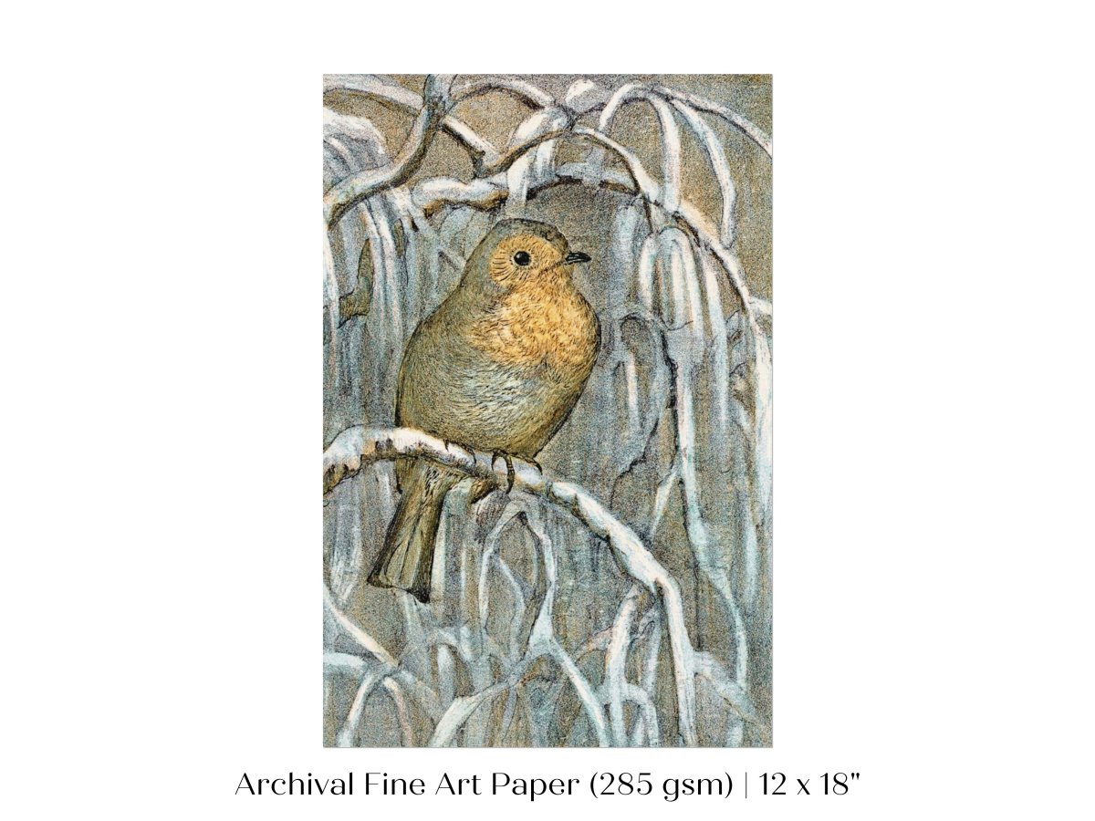 Winter Robin | P381 - Single Art Prints - Piccolo Fiore Prints