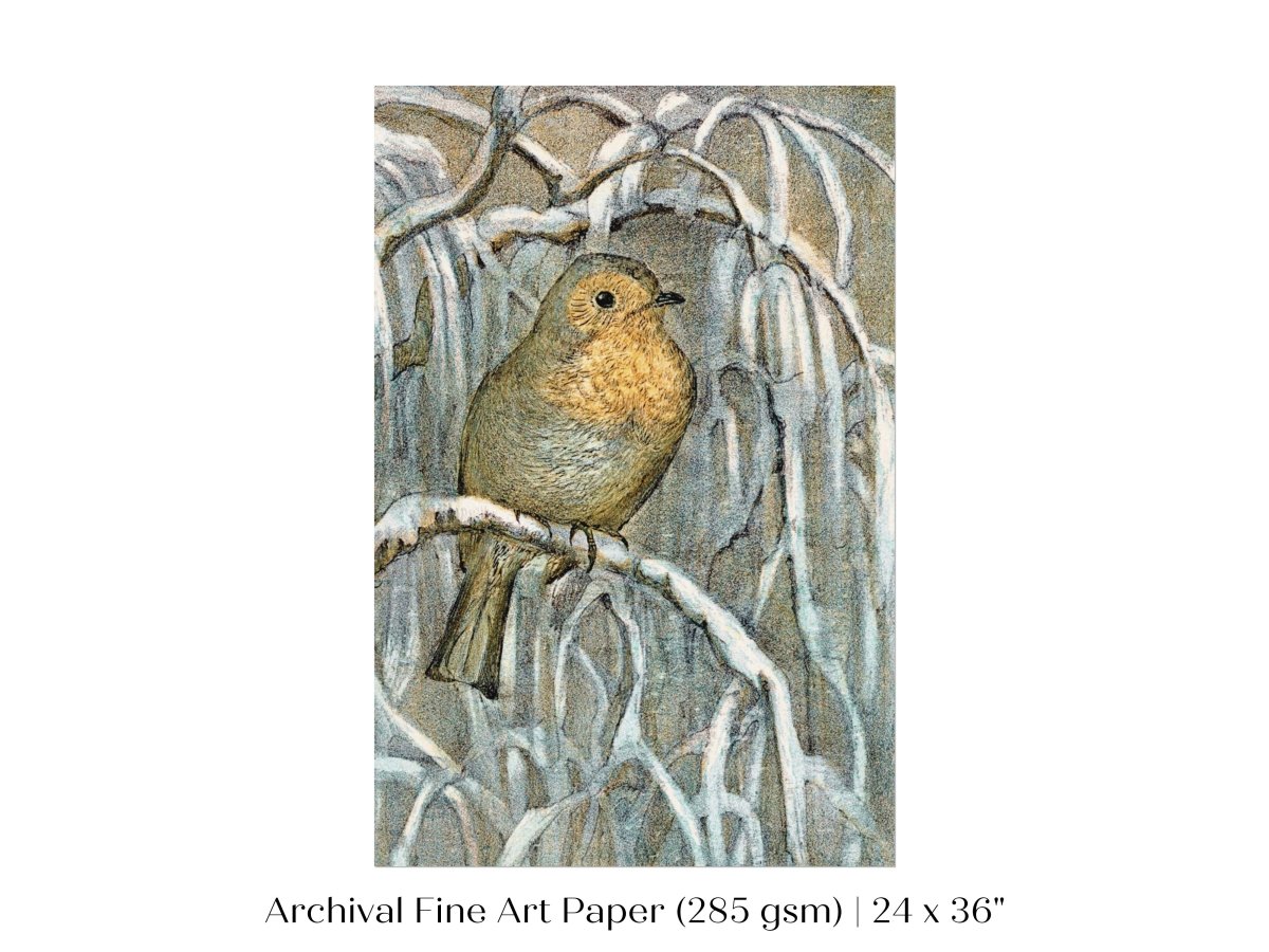 Winter Robin | P381 - Single Art Prints - Piccolo Fiore Prints