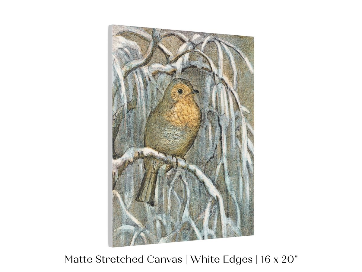 Winter Robin | P381 - Single Art Prints - Piccolo Fiore Prints