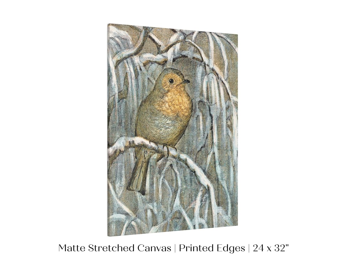 Winter Robin | P381 - Single Art Prints - Piccolo Fiore Prints