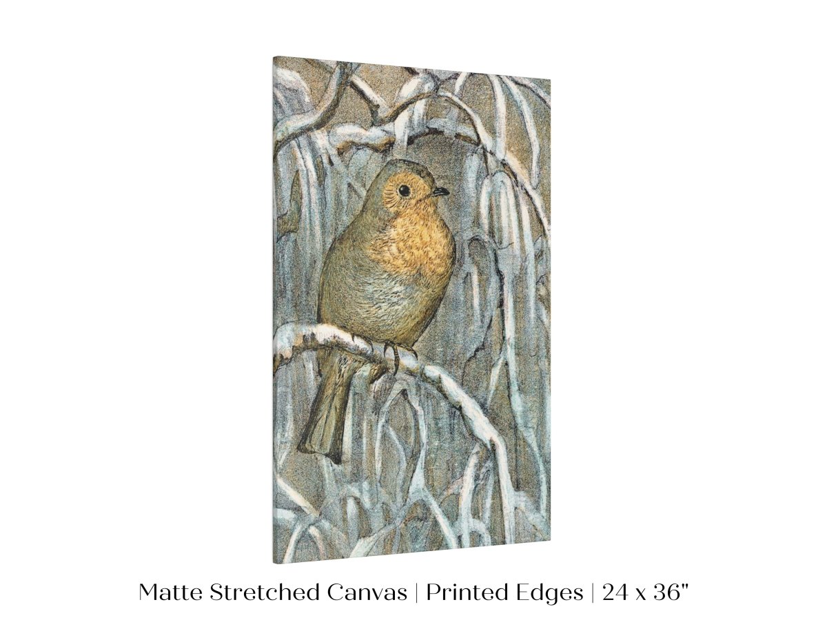 Winter Robin | P381 - Single Art Prints - Piccolo Fiore Prints