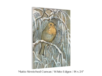 Winter Robin | P381 - Single Art Prints - Piccolo Fiore Prints