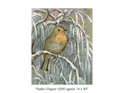 Winter Robin | P381 - Single Art Prints - Piccolo Fiore Prints