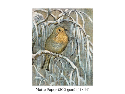 Winter Robin | P381 - Single Art Prints - Piccolo Fiore Prints
