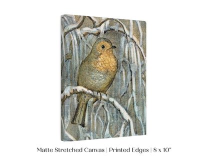 Winter Robin | P381 - Single Art Prints - Piccolo Fiore Prints