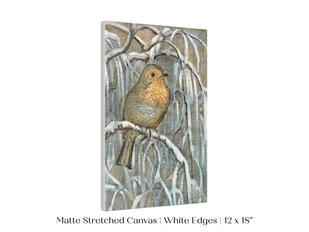 Winter Robin | P381 - Single Art Prints - Piccolo Fiore Prints