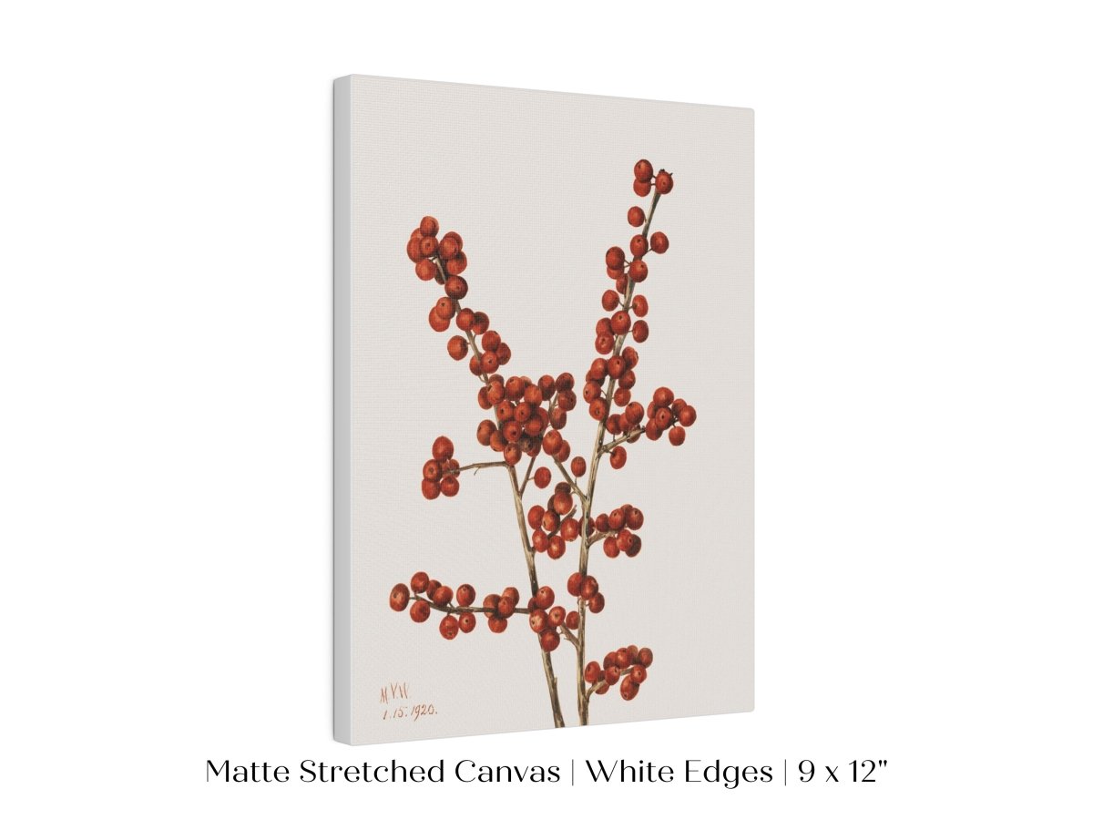 Winterberry Illustration | P469 - Single Art Prints - Piccolo Fiore Prints