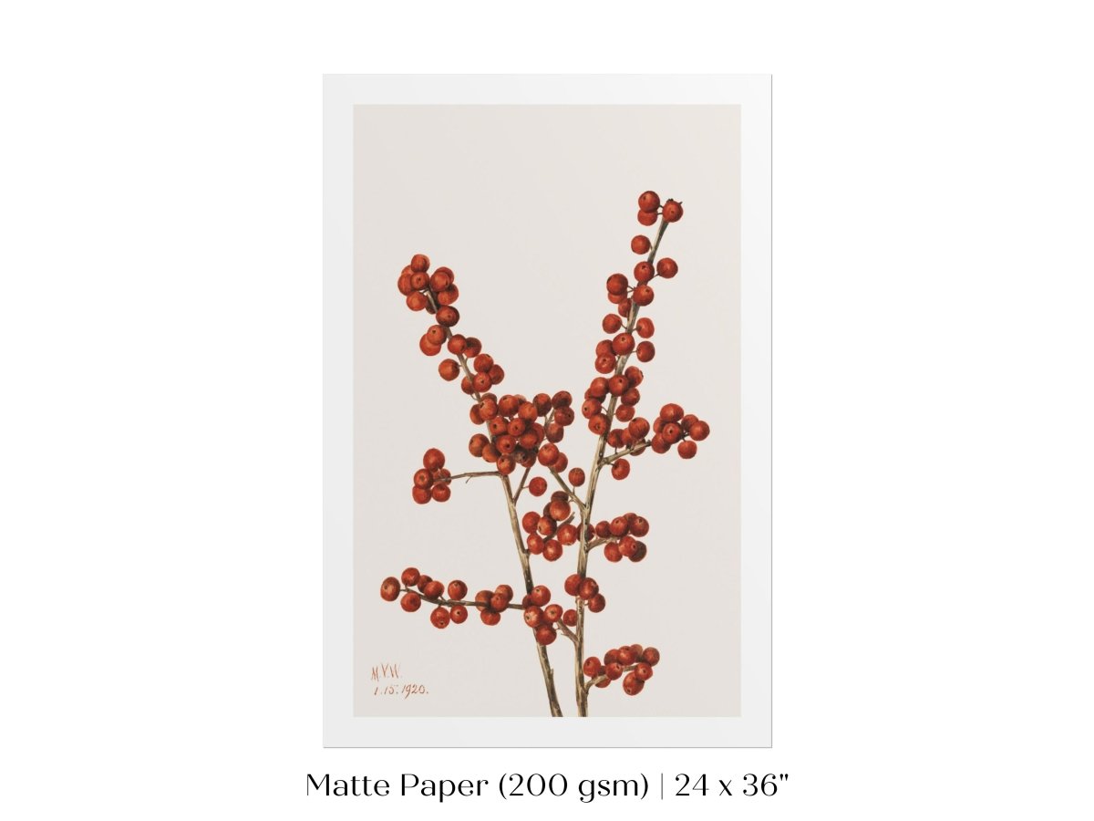 Winterberry Illustration | P469 - Single Art Prints - Piccolo Fiore Prints