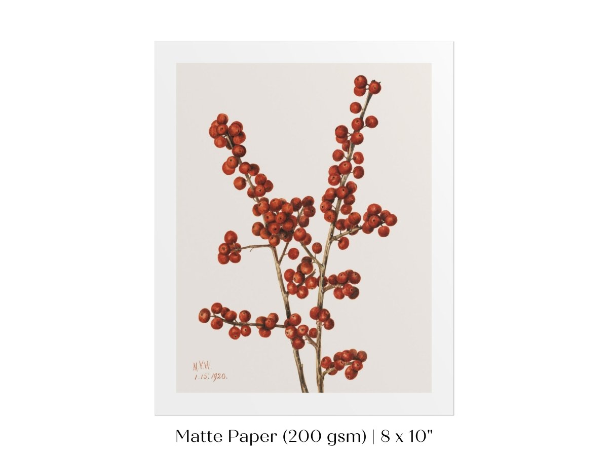 Winterberry Illustration | P469 - Single Art Prints - Piccolo Fiore Prints