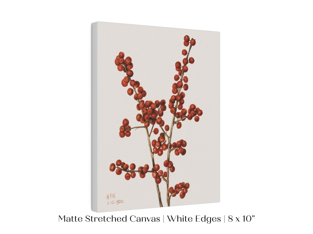 Winterberry Illustration | P469 - Single Art Prints - Piccolo Fiore Prints