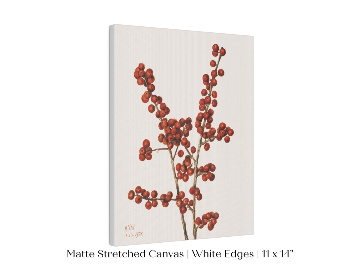 Winterberry Illustration | P469 - Single Art Prints - Piccolo Fiore Prints
