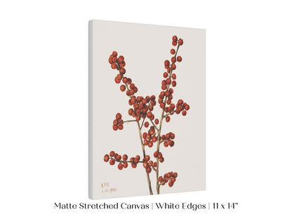 Winterberry Illustration | P469 - Single Art Prints - Piccolo Fiore Prints