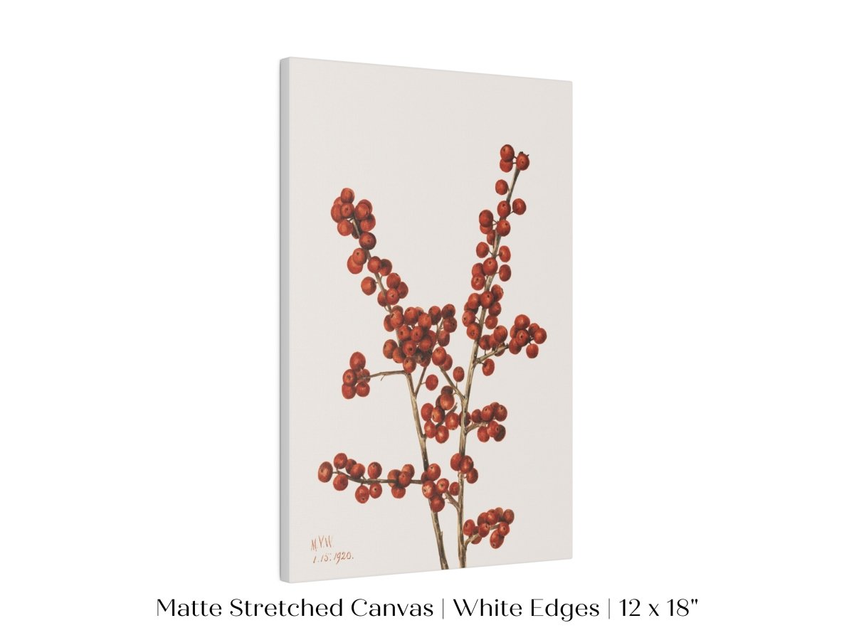 Winterberry Illustration | P469 - Single Art Prints - Piccolo Fiore Prints