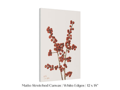Winterberry Illustration | P469 - Single Art Prints - Piccolo Fiore Prints